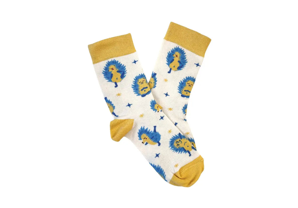 Набір шкарпеток RAO Socks Йога "Який ти йог" 5 шт (39-41)