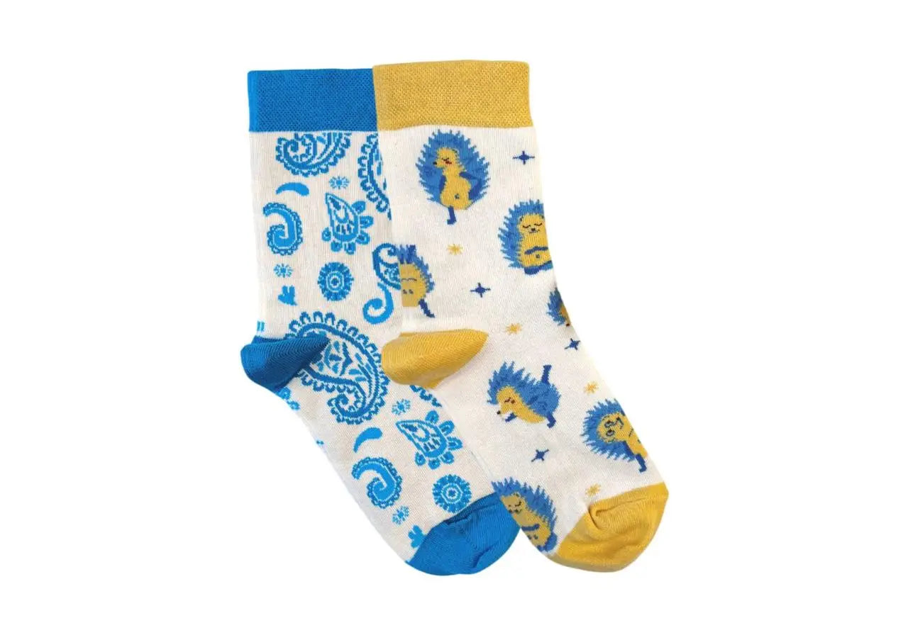 Набір шкарпеток RAO Socks Йога Їжачки + Блакитні Пейслі 2 пари (36-38)