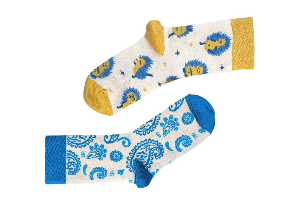 Набір шкарпеток RAO Socks Йога Їжачки + Блакитні Пейслі 2 пари (36-38)