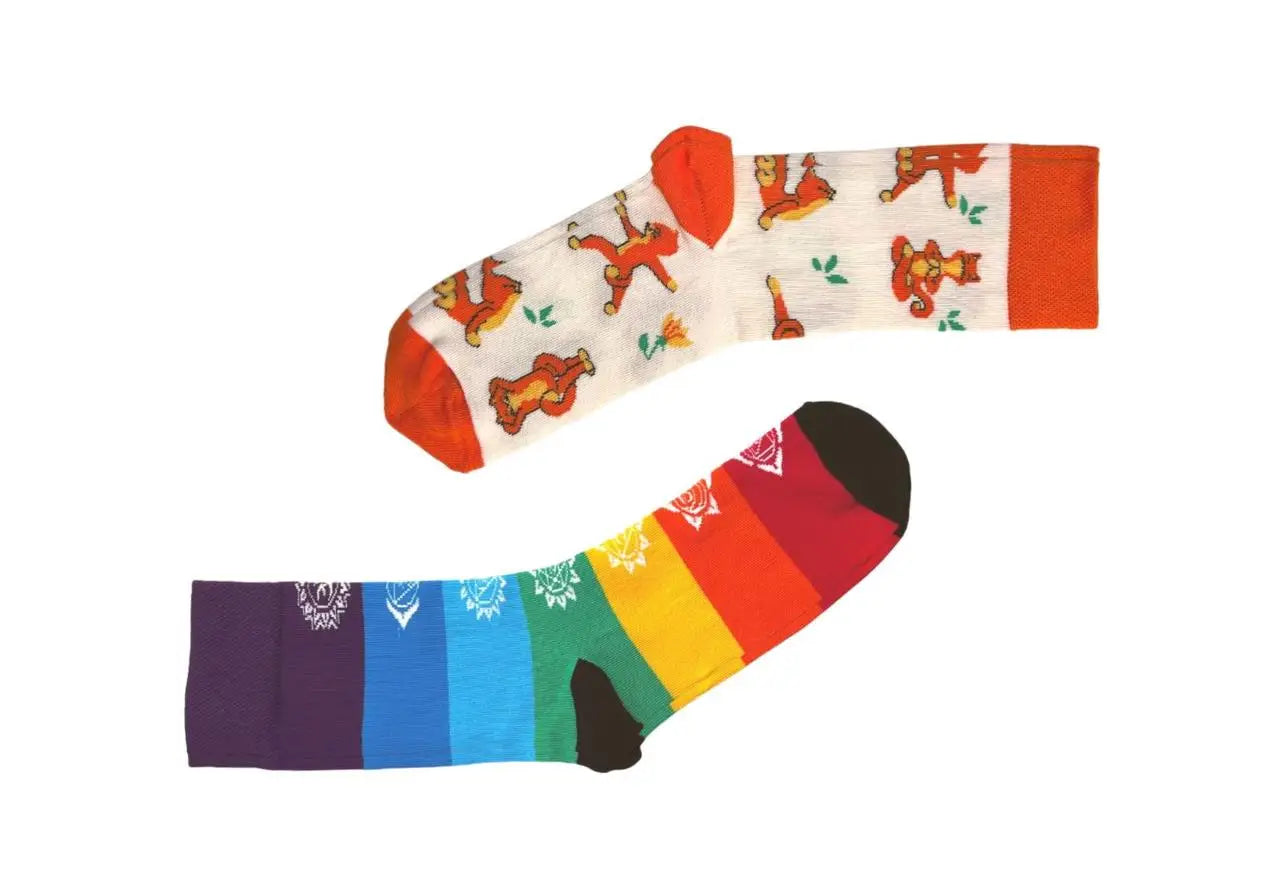 Набір шкарпеток RAO Socks 7 чакр + Котики 2 пари (39-41)