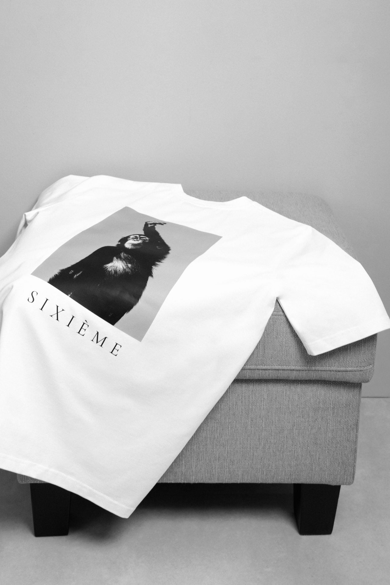 Футболка LE SINGE від SIXIEME