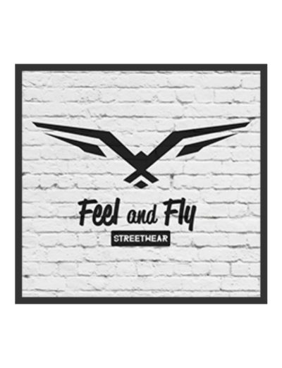 FEEL AND FLY